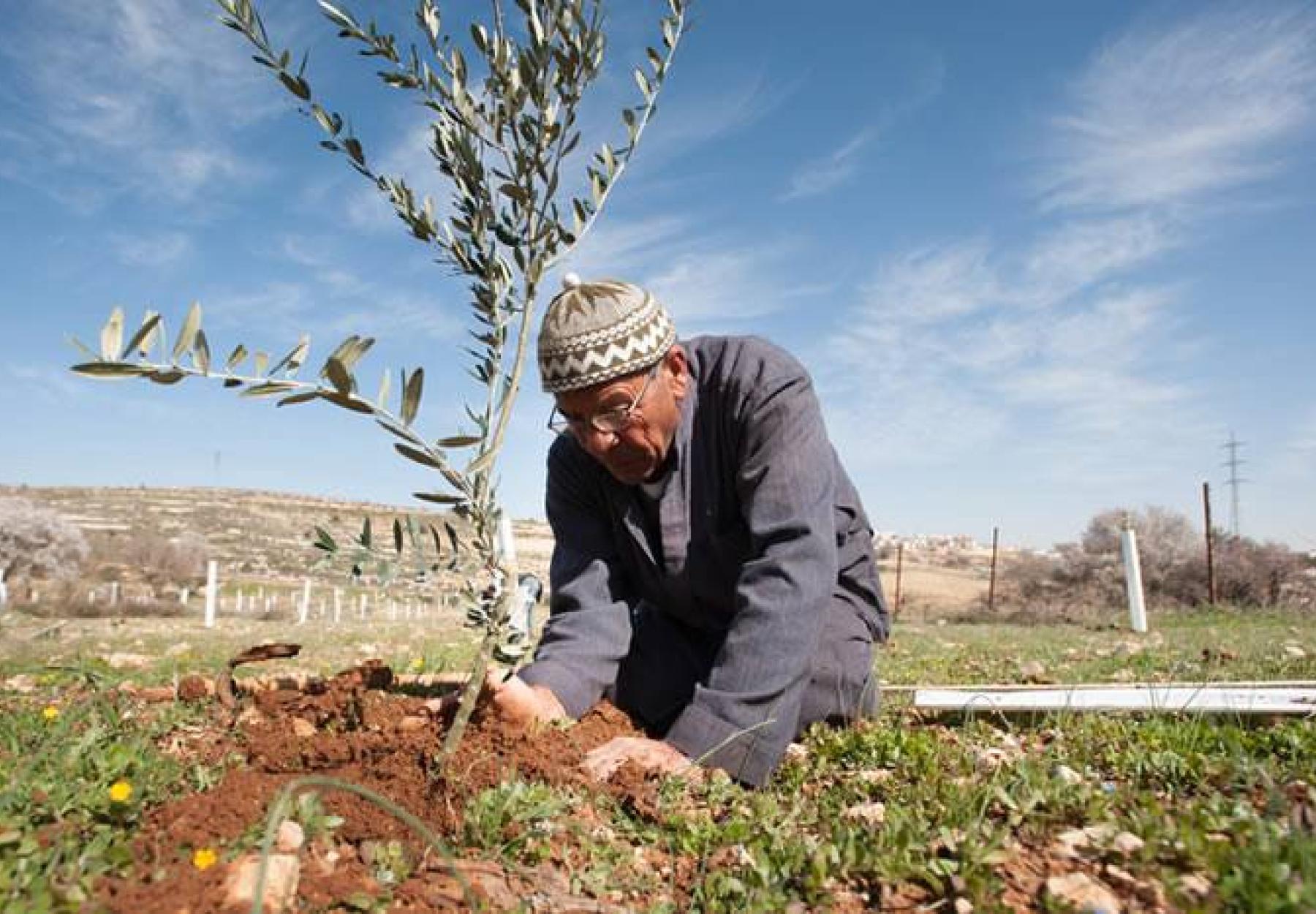 توقيع إتفاقية جديدة لزراعة 17.000 شتلة وحفر 3 برك تجميعية لمياه الأمطار في الأغوار الفلسطينية مع مؤسسة التعاون