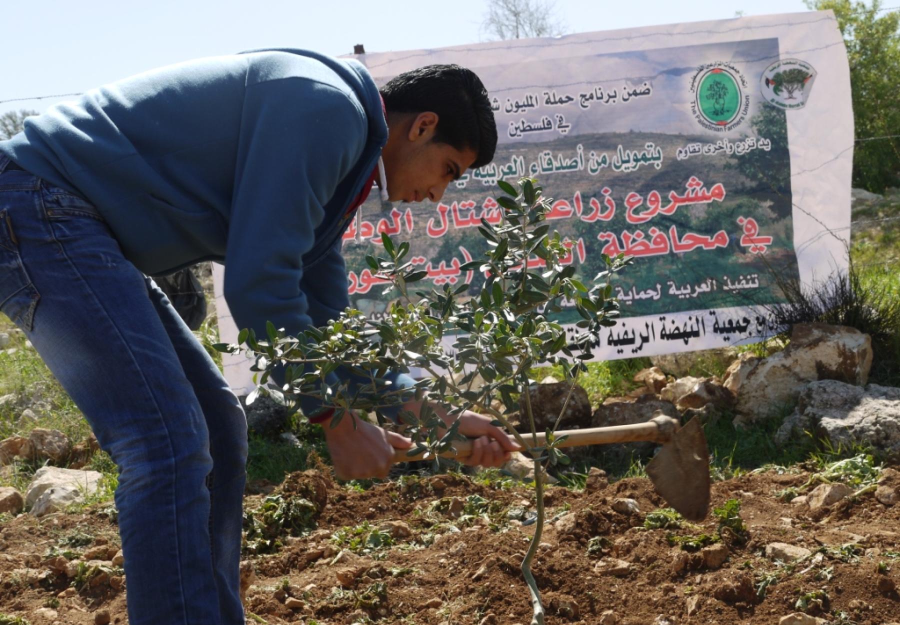 مبادرة طلابية في قطر لدعم برنامج المليون شجرة