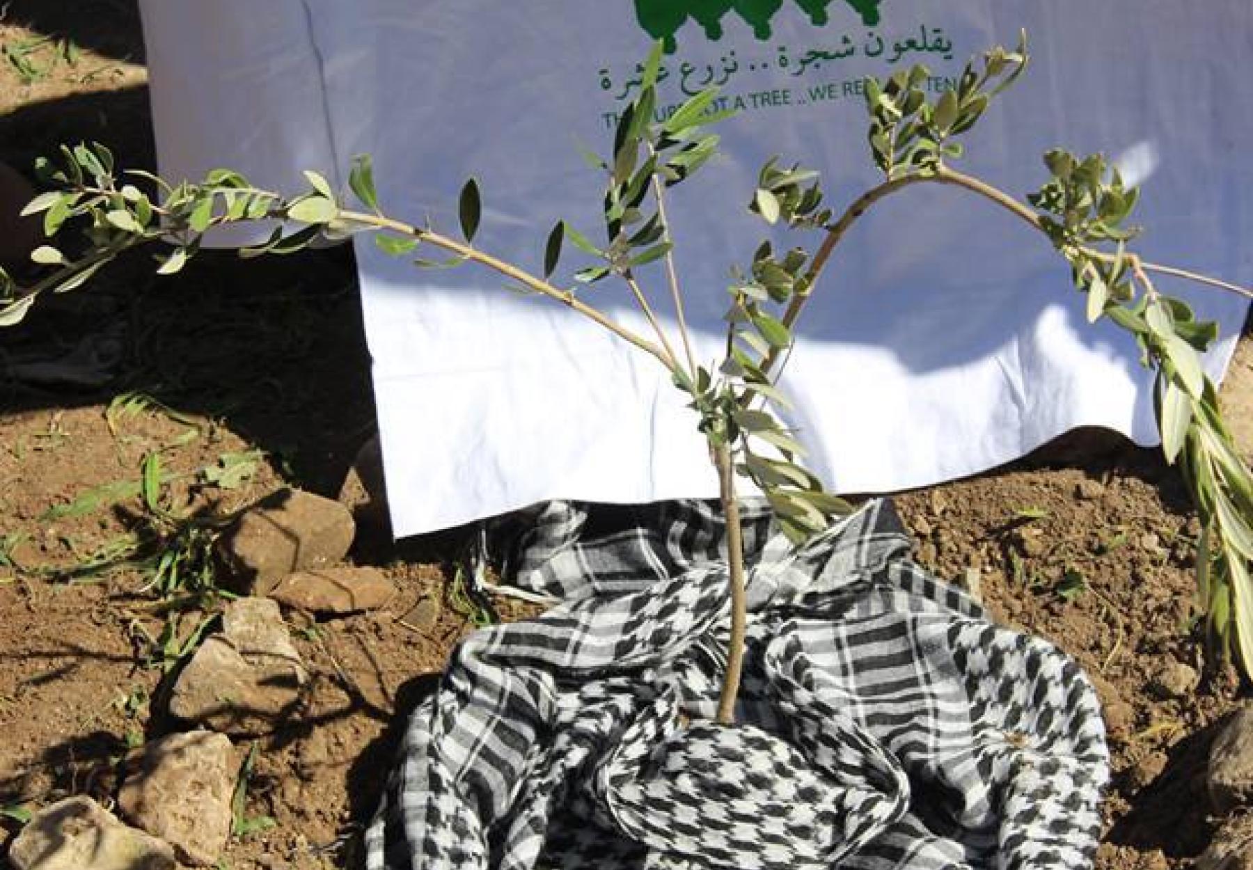 المليون شجرة يطلق حملة "الأرض لنا" لزراعة آلاف الأشجار في كافة محافظات فلسطين