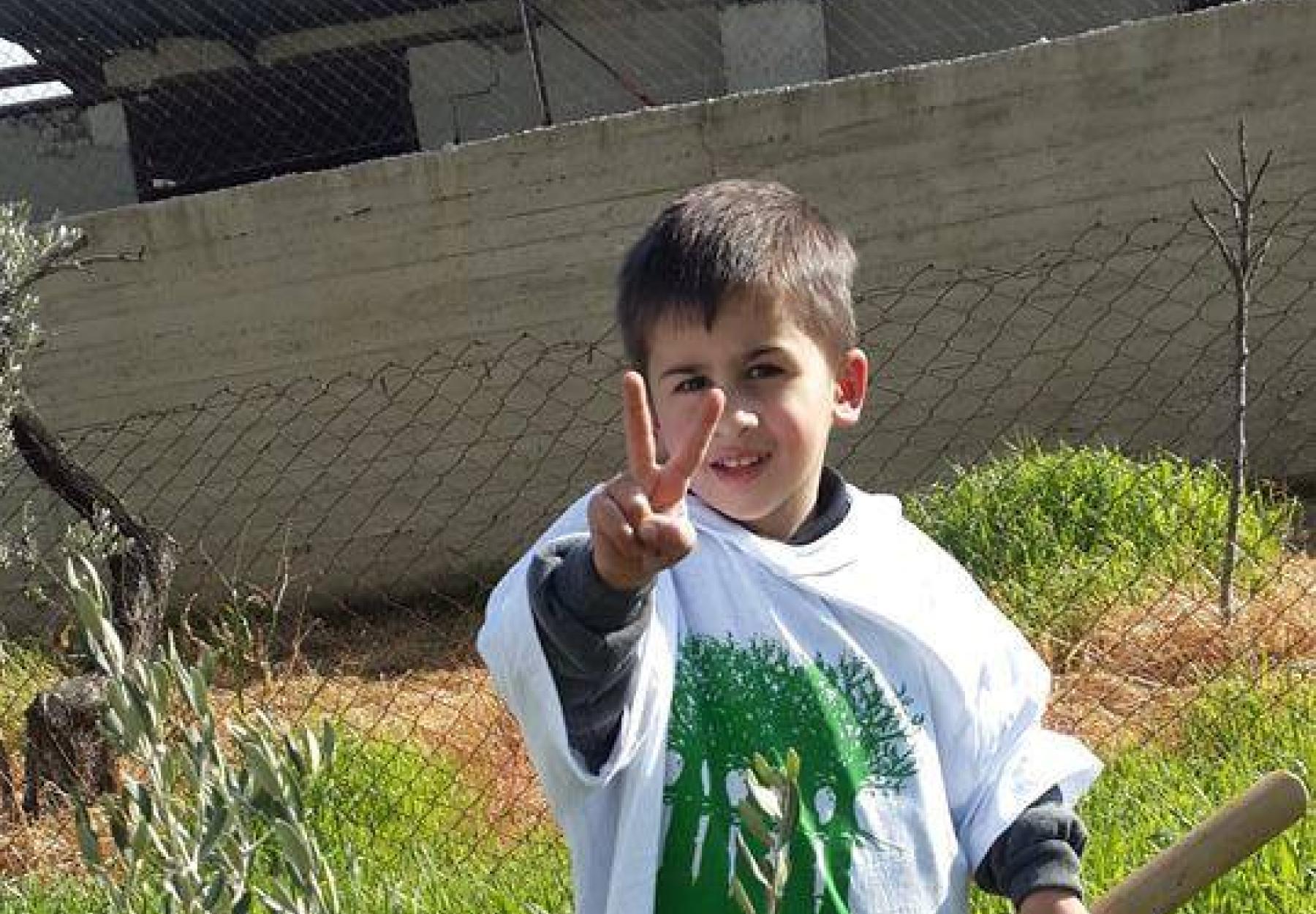 مشروع زيتون الخير يتحدى الإحتلال ويزرع في 14 منطقة في فلسطين