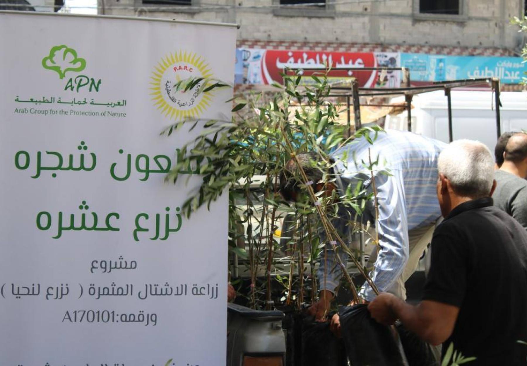 العربية لحماية الطبيعة تحيي وتزرع 15,000 شجرة مثمرة جديدة في قطاع غزة