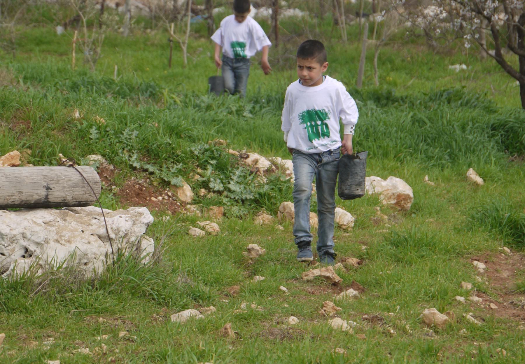 العربية تزرع 2,000 شجرة مثمرة جديدة في قرية جبع - القدس