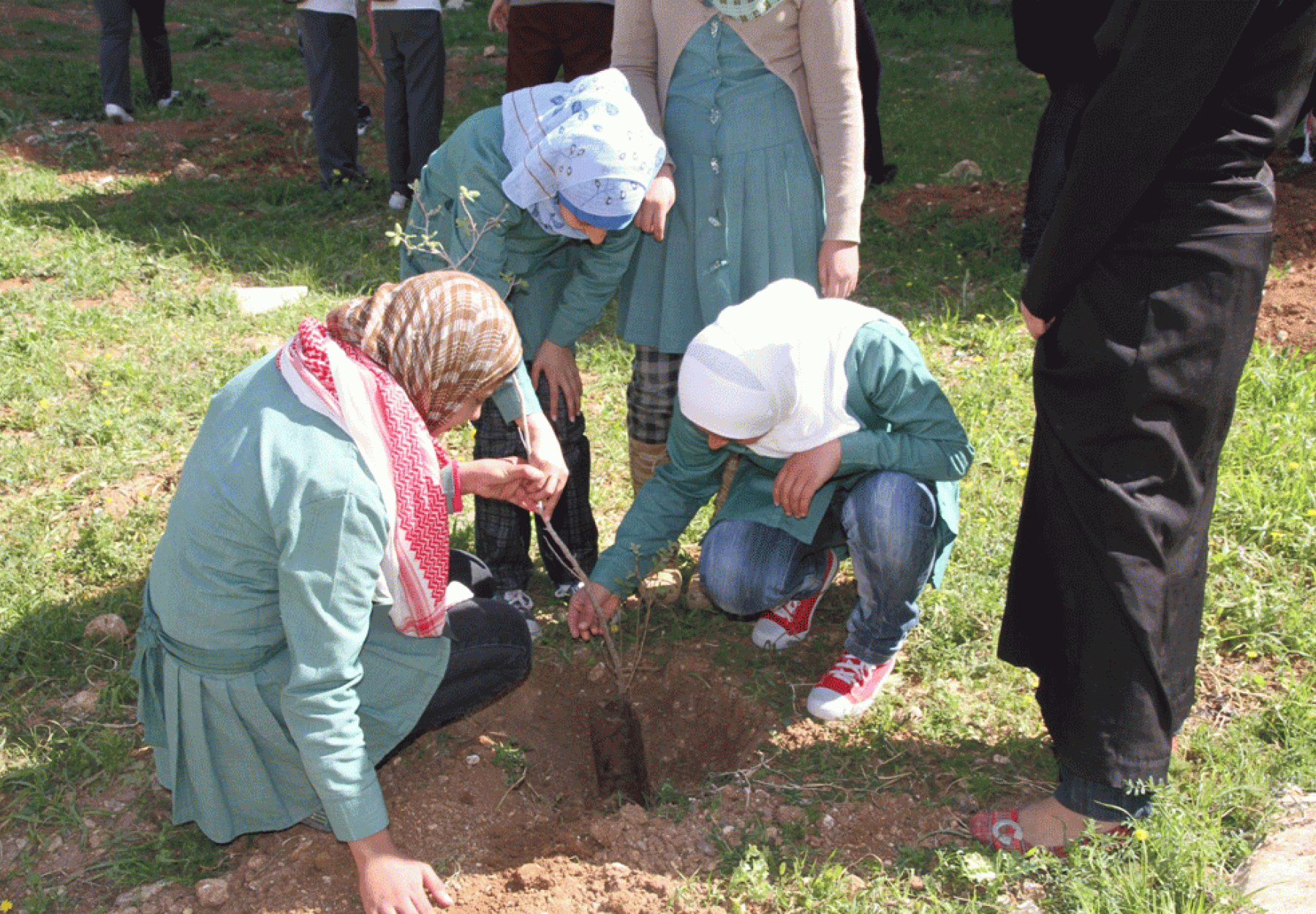 العربية تنظم حملة لزراعة الأشجار في منطقة بيرين بمشاركة مجموعة من المدارس في الأردن