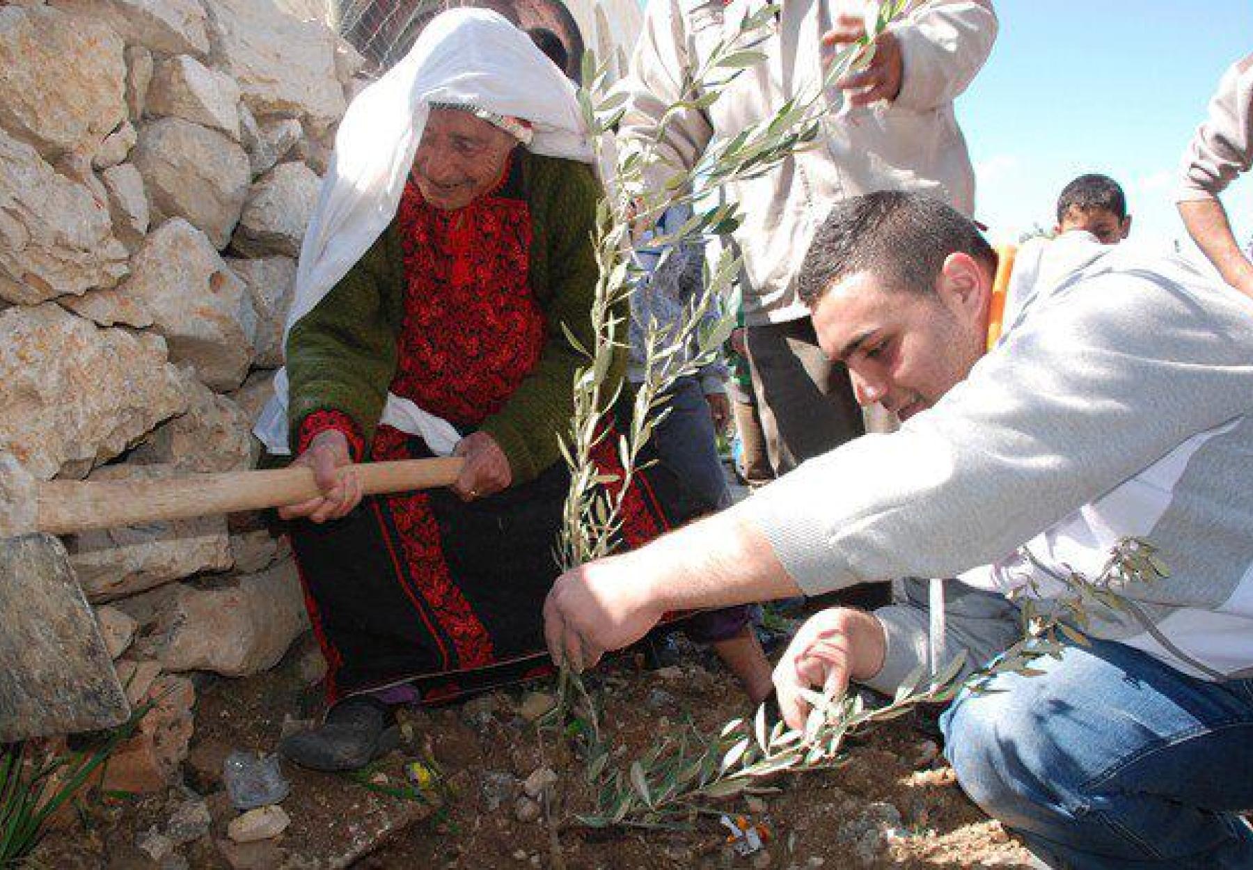اتفاقيتان لزراعة حوالي 37 ألف شجرة مثمرة في الضفة الغربية وقطاع غزة