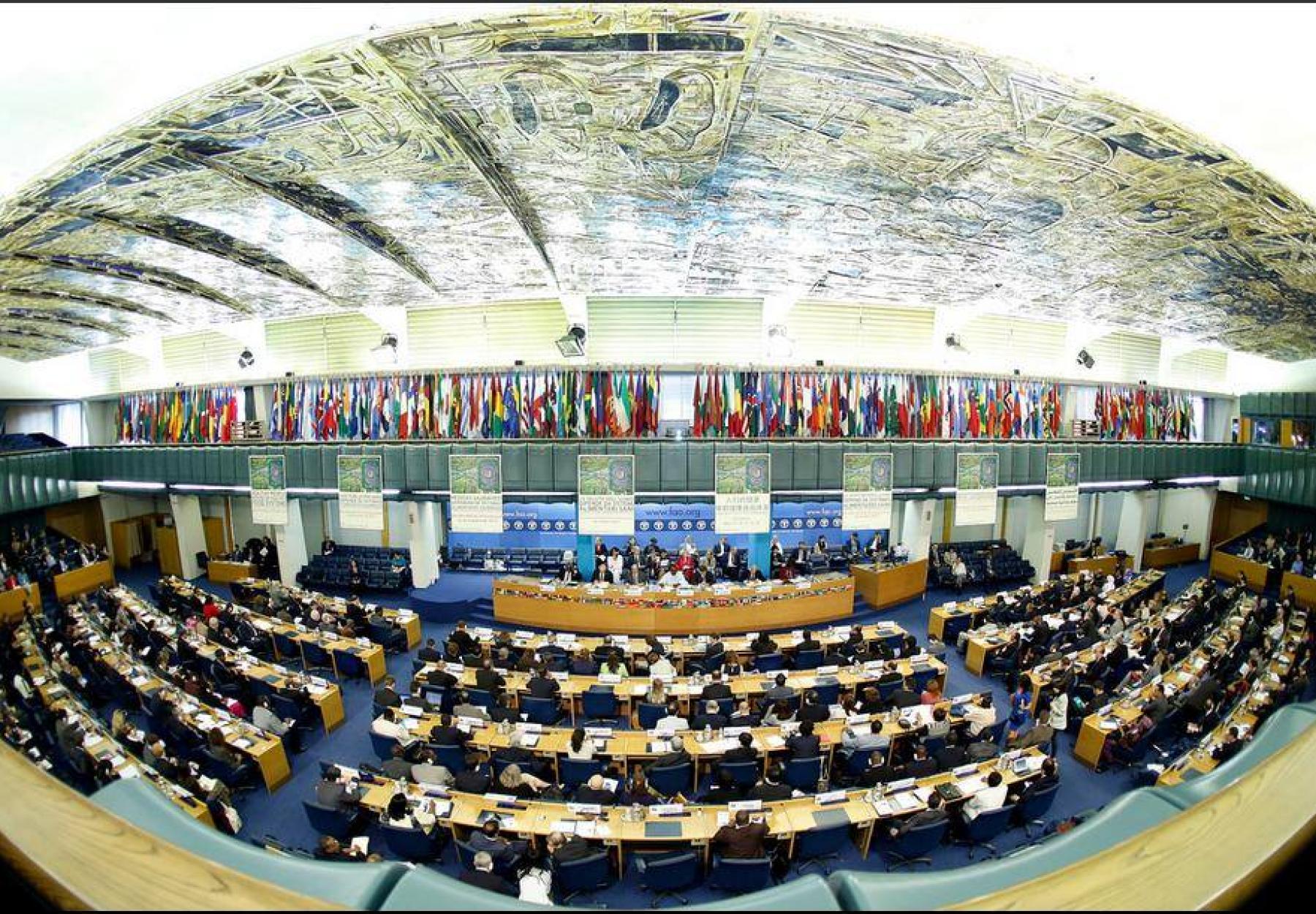APN at the 40th session of the CFS APN at the 40th session of the CFS