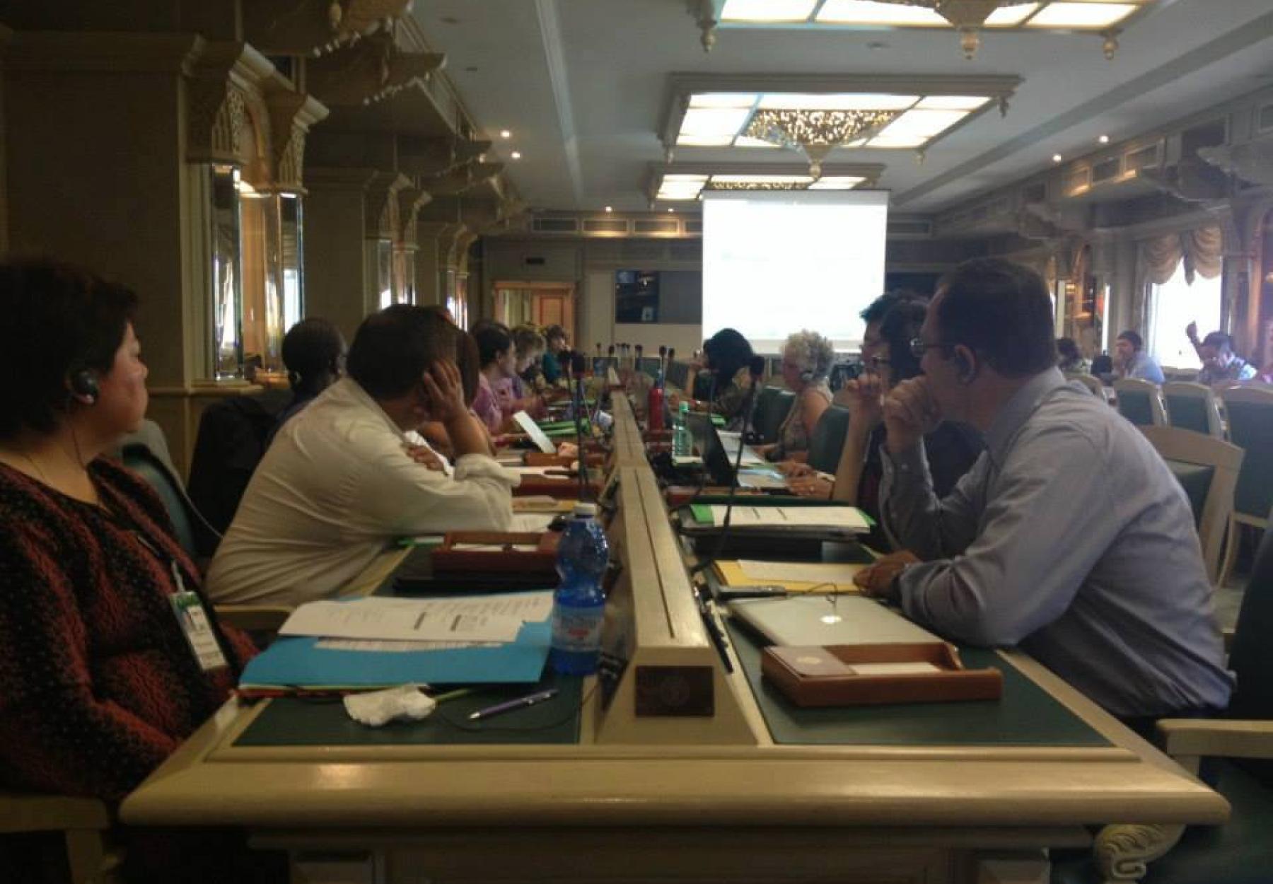 APN at the Coordinating Committee Meeting of the International Civil Society Mechanism APN at the Coordinating Committee Meeting of the International Civil Society Mechanism