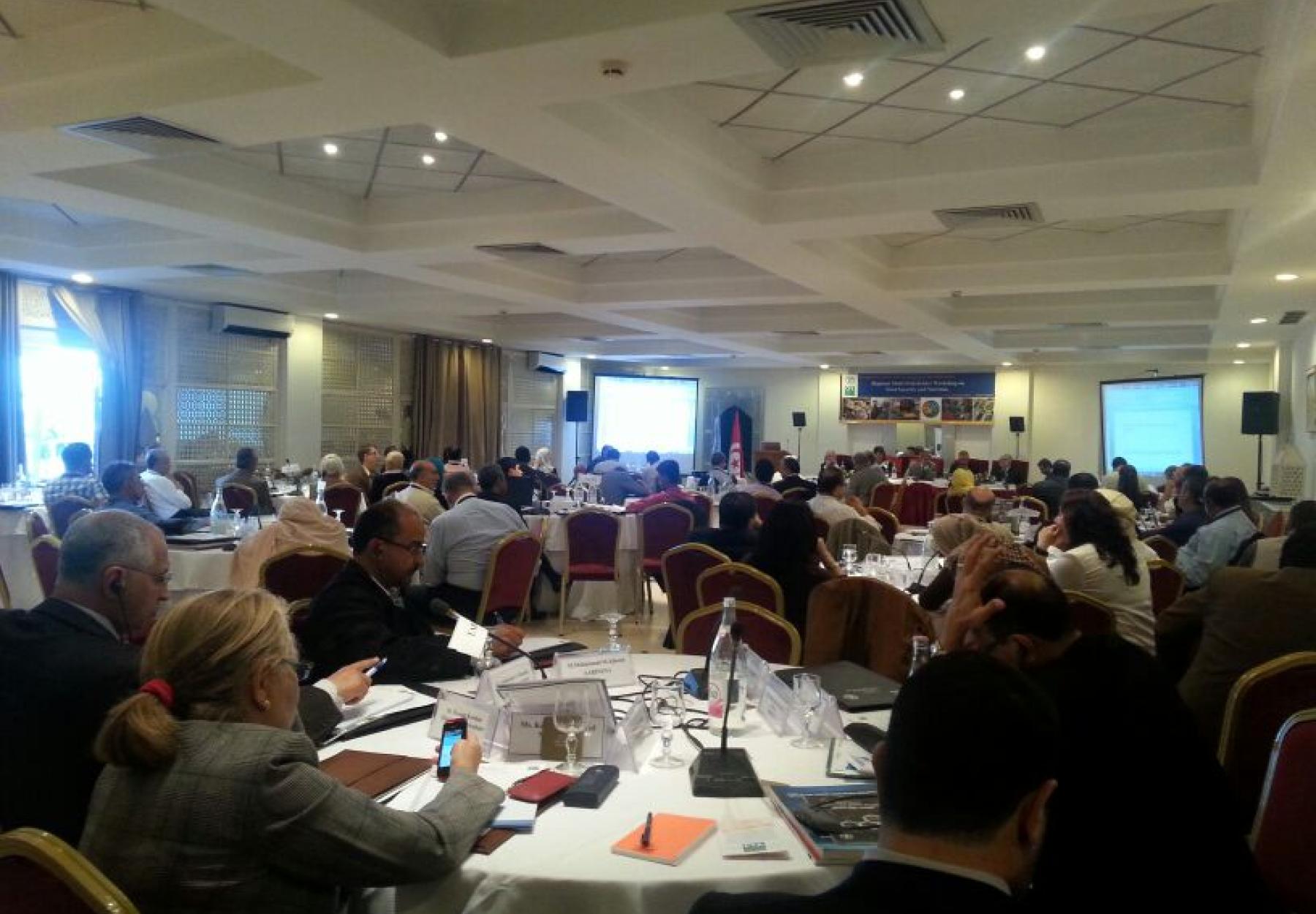 Regional Workshop for Stakeholders on Food Security and Nutrition in Tunisia