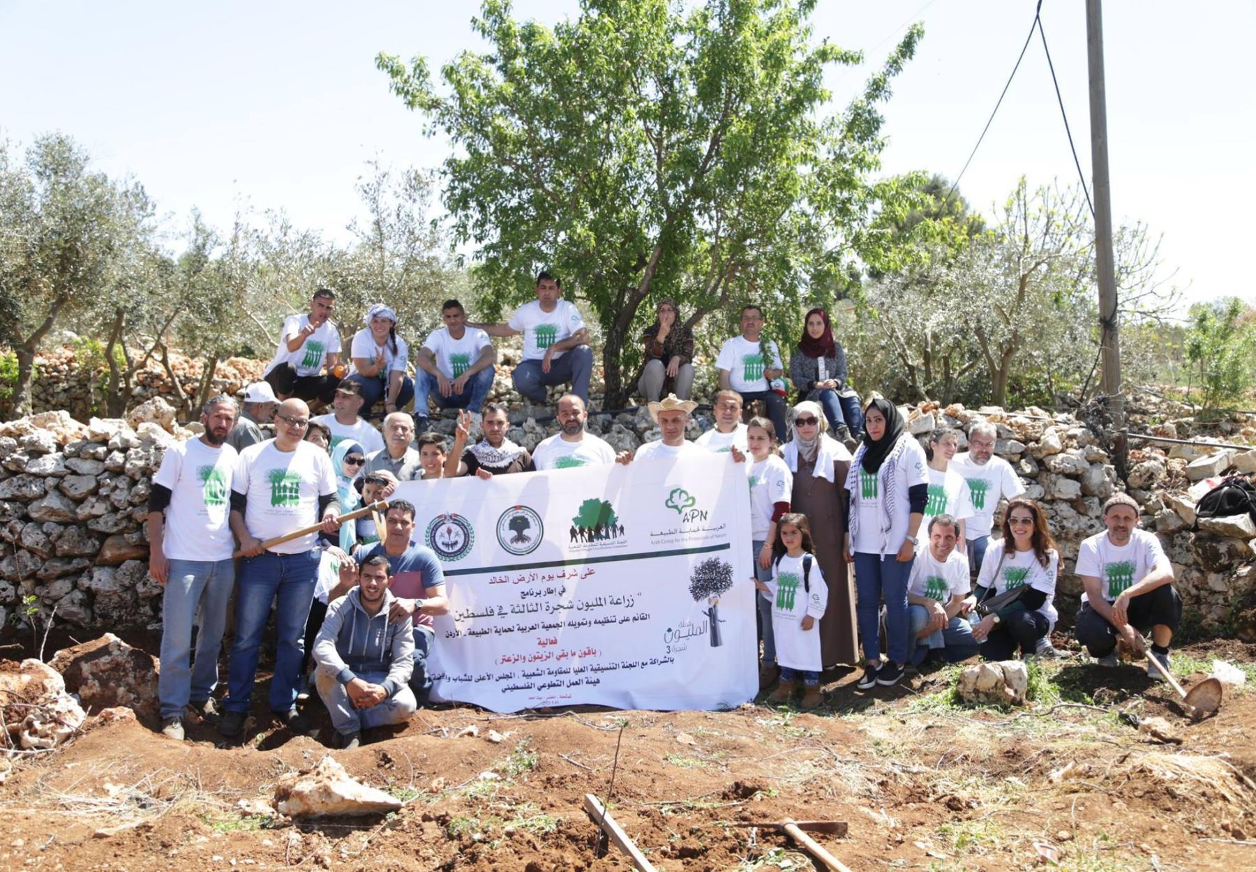 على شرف يوم الأرض الخالد زراعة 700 شجرة تفاح وعنب في قرية شوشحلة المهجرة -بيت لحم - فلسطين