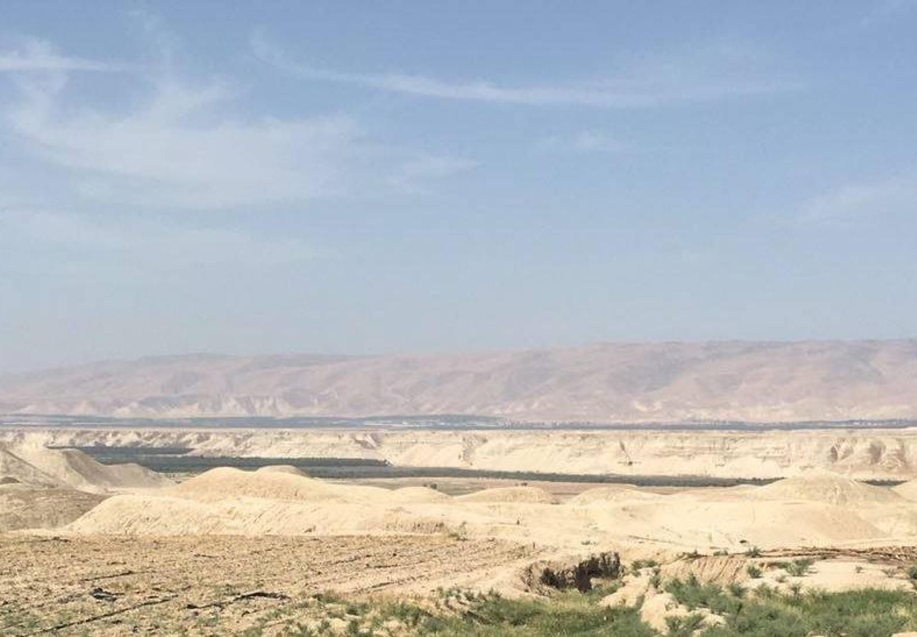 حملة العربية وشركاؤها لتقصي الحقائق تكشف عن مبيدات محظورة مصدرة للأردن من قبل الكيان الصهيوني حملة العربية وشركاؤها لتقصي الحقائق تكشف عن مبيدات محظورة مصدرة للأردن من قبل الكيان الصهيوني