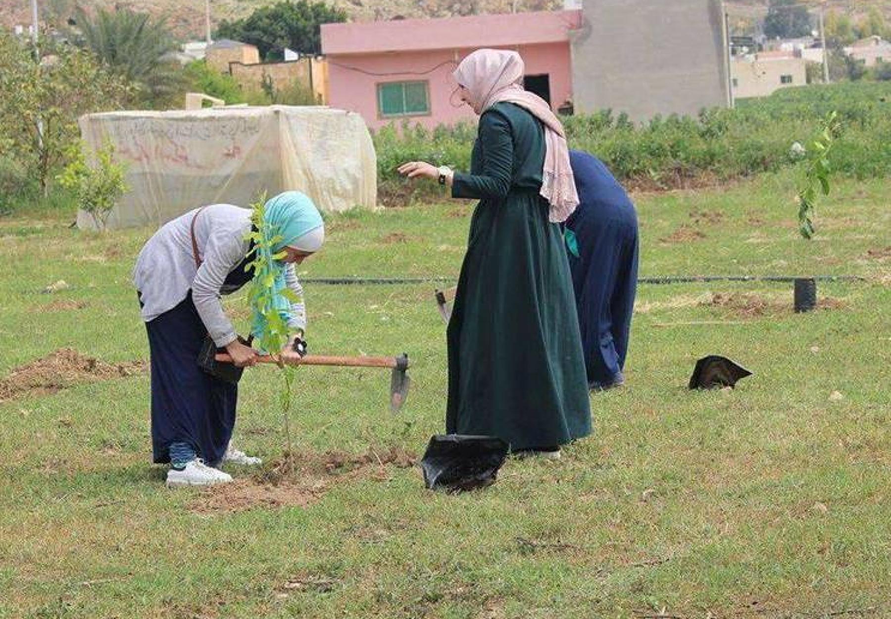 العربية تزرع الأشجارالمثمرة  في منطقة ضرار بن الازور