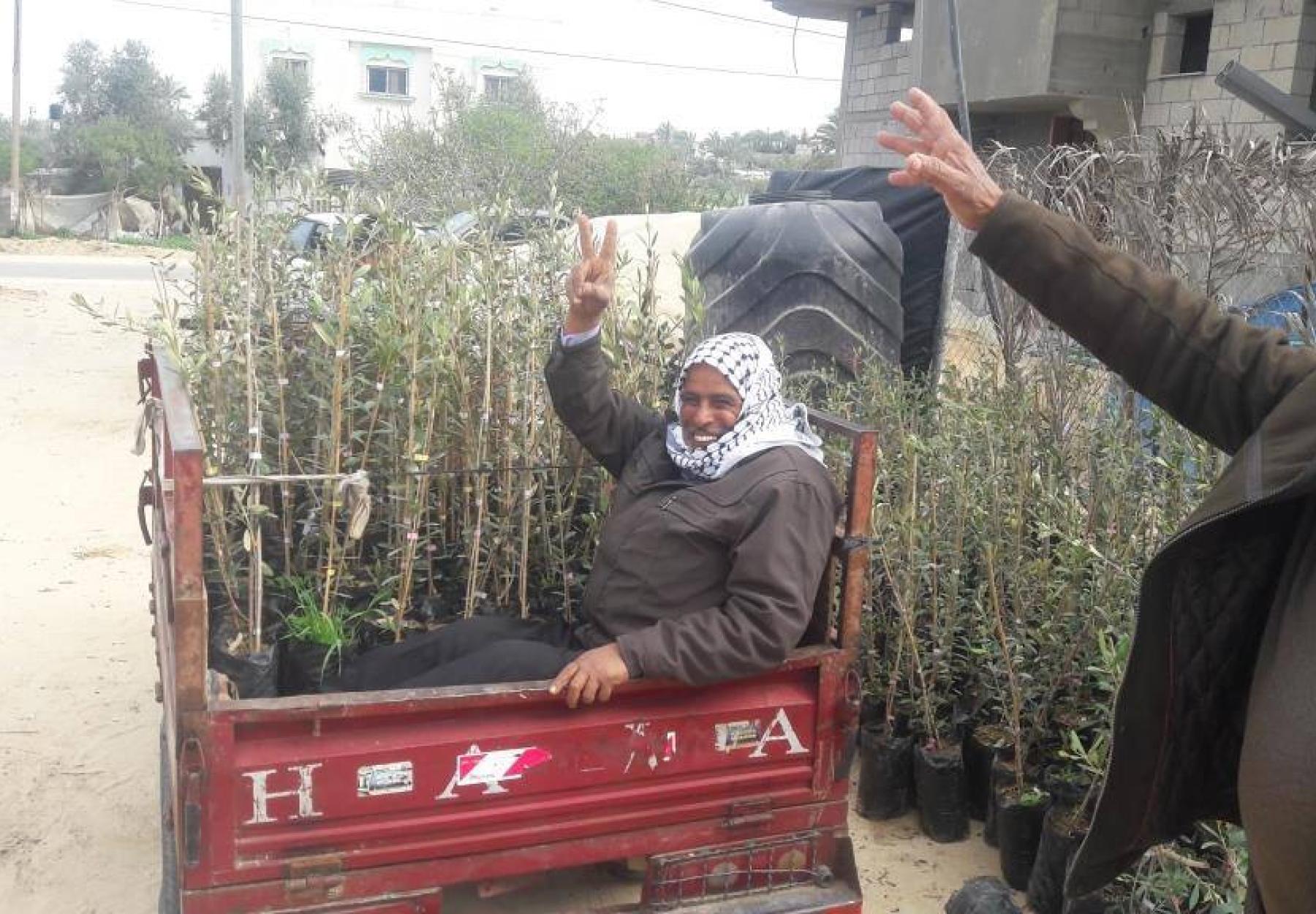 المليون شجرة يزرع آلاف الأشجار في قطاع غزة  دعما لصمود المزارعين