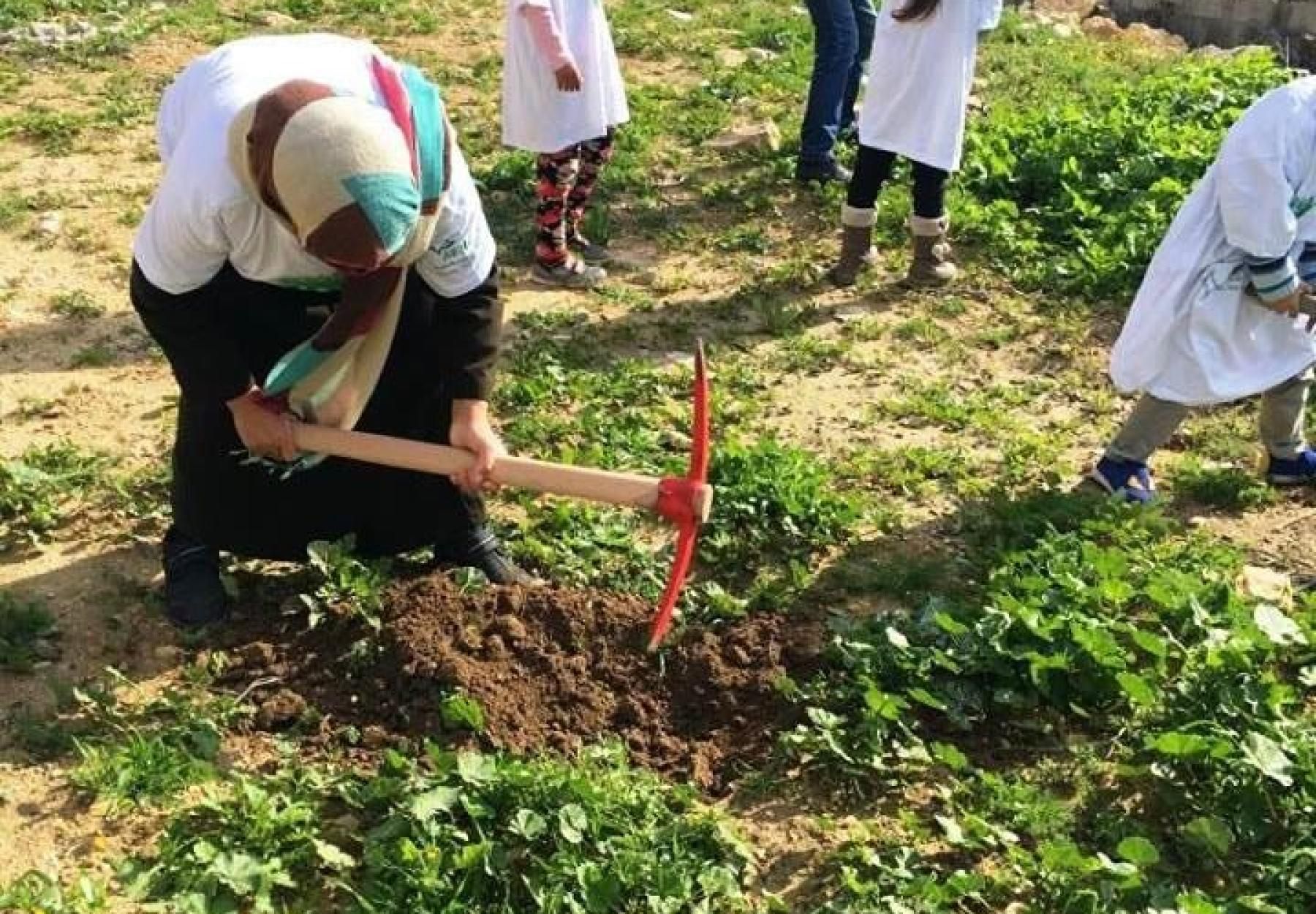 مشروع "امهات الوطن" يستمر في قرية ياسوف و يزرع 1,600 شجرة مثمرة - سلفيت