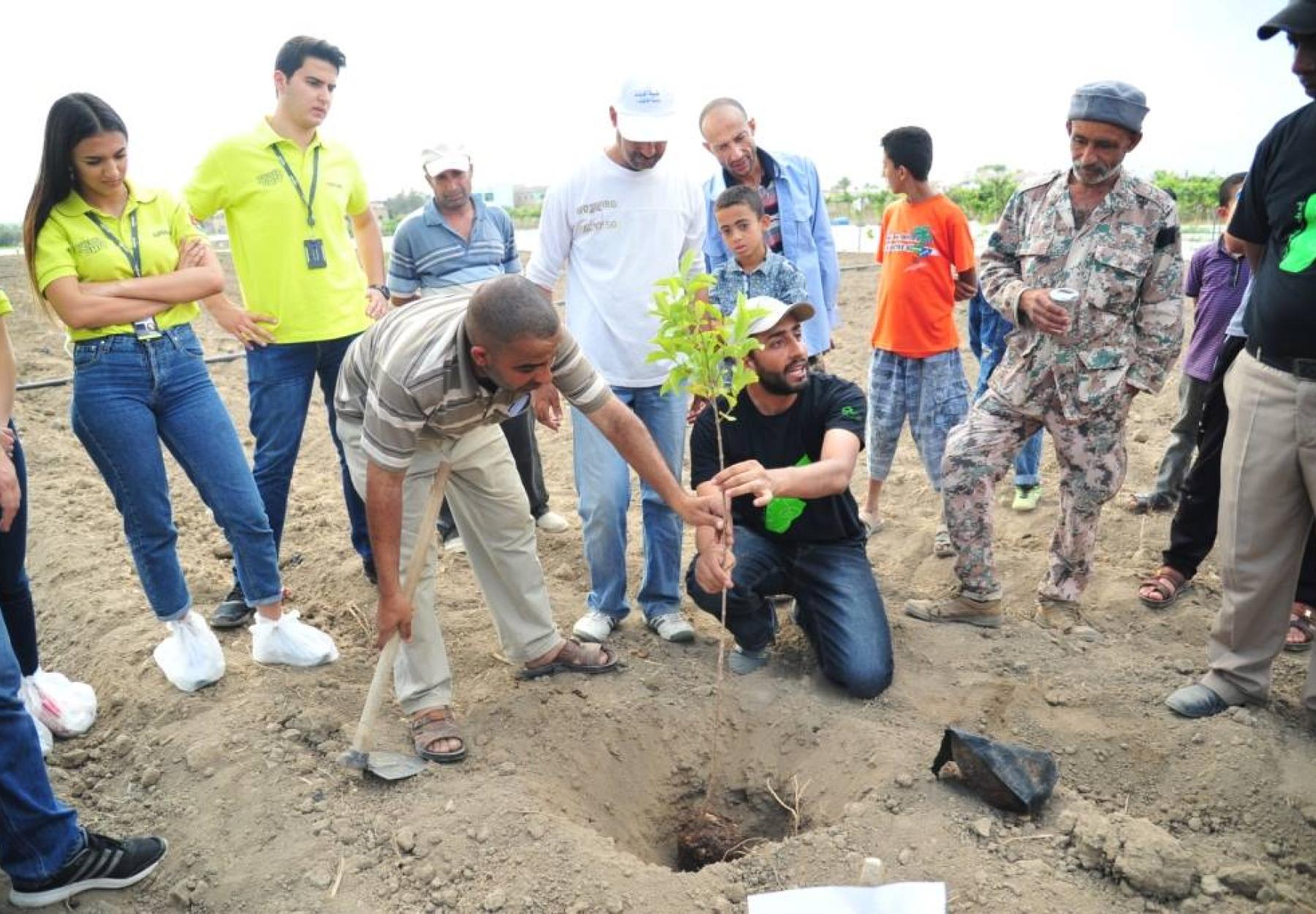 العربية وشركة أمنية يدعمان الأمن الغذائي ويزرعان 1000 شجرة مثمرة للأسر الزراعية