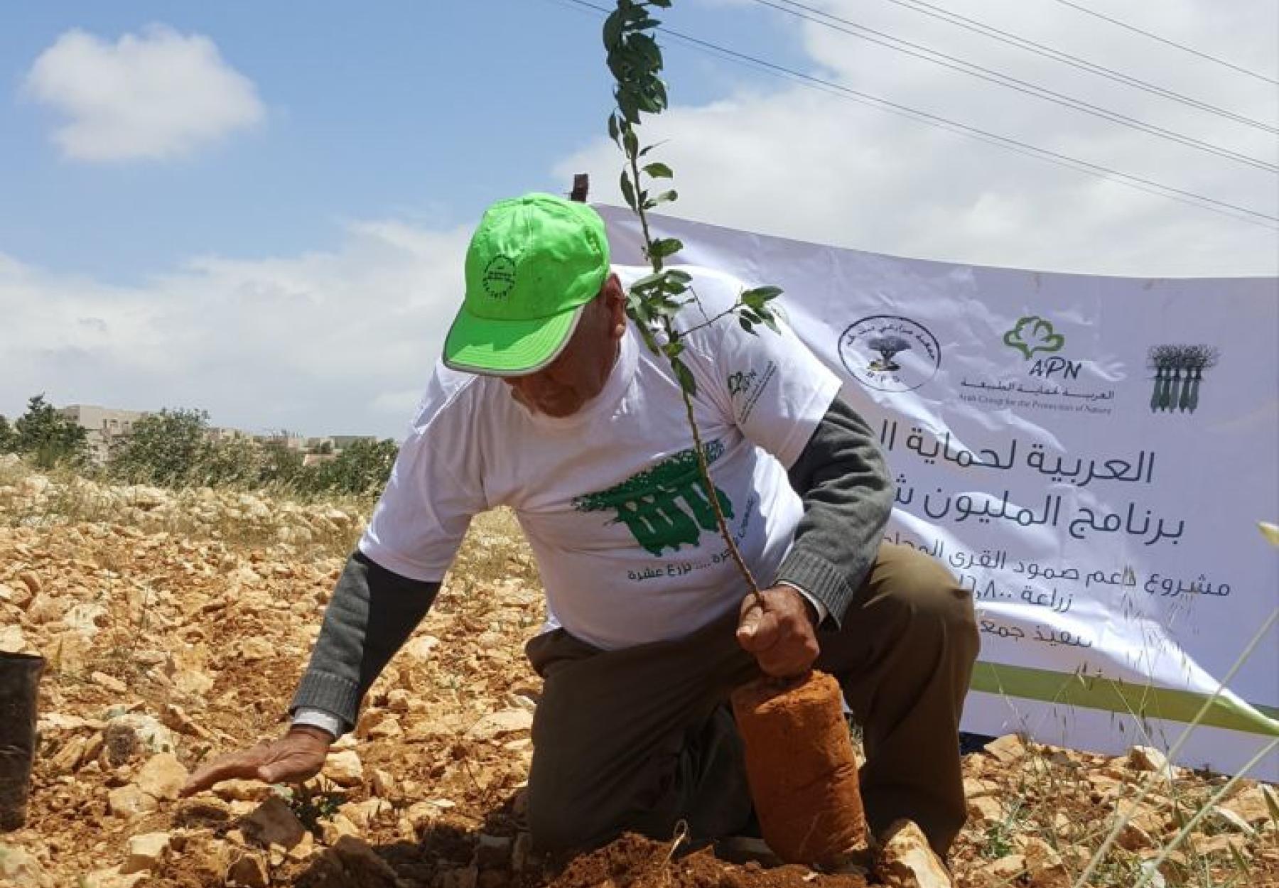 العربية تزرع 16,800 شجرة مثمرة و 240 دونم بالبذور البلدية في "بيت لحم"