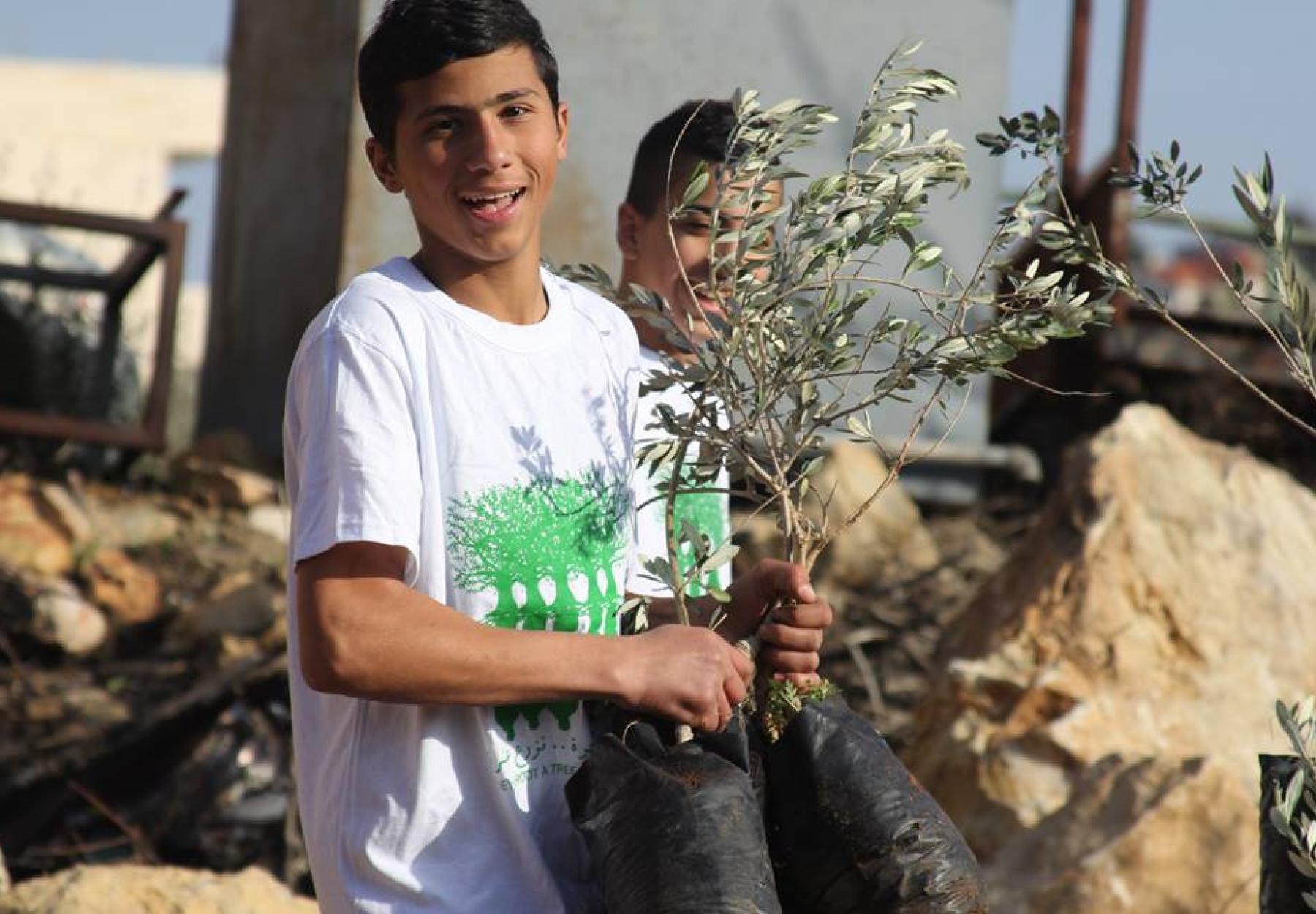 العربية لحماية الطبيعة تزرع 5,500 شجرة زيتون في شمال غرب القدس