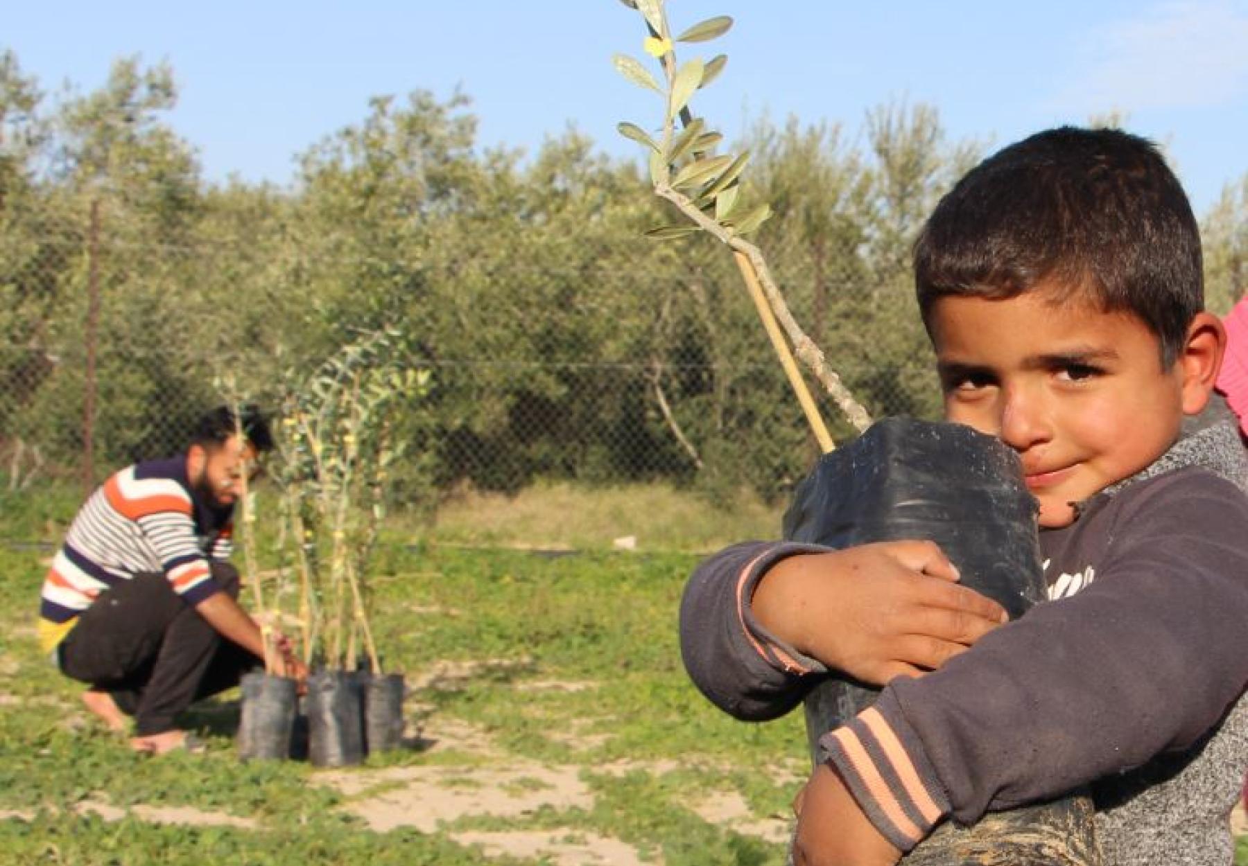 مشروع دعم العائلات المدارة نسائياً في قطاع غزة