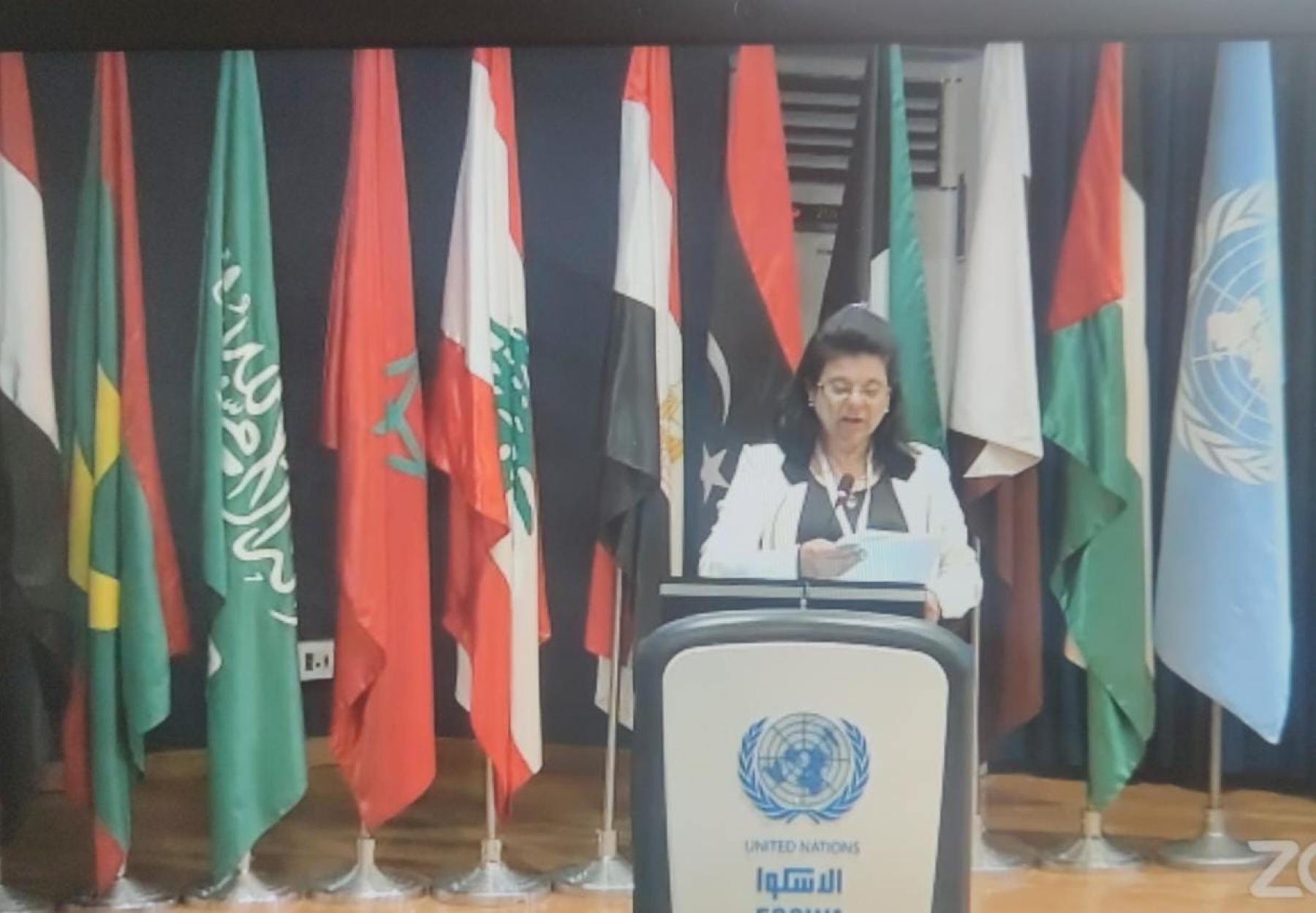 شاركت رئيس مجلس إدارة العربية لحماية الطبيعة، م. رزان زعيتر في اجتماع فريق الخبراء حول سبل حشد الشباب من اجل مكافحة التصحر والجفاف الذي عقد في بيروت بدعوة من اللجنة الاقتصادية والاجتماعية لغربي آسيا –الإسكوا. شاركت رئيس مجلس إدارة العربية لحماية الطبيعة، م. رزان زعيتر في اجتماع فريق الخبراء حول سبل حشد الشباب من اجل مكافحة التصحر والجفاف الذي عقد في بيروت بدعوة من اللجنة الاقتصادية والاجتماعية لغربي آسيا –الإسكوا.