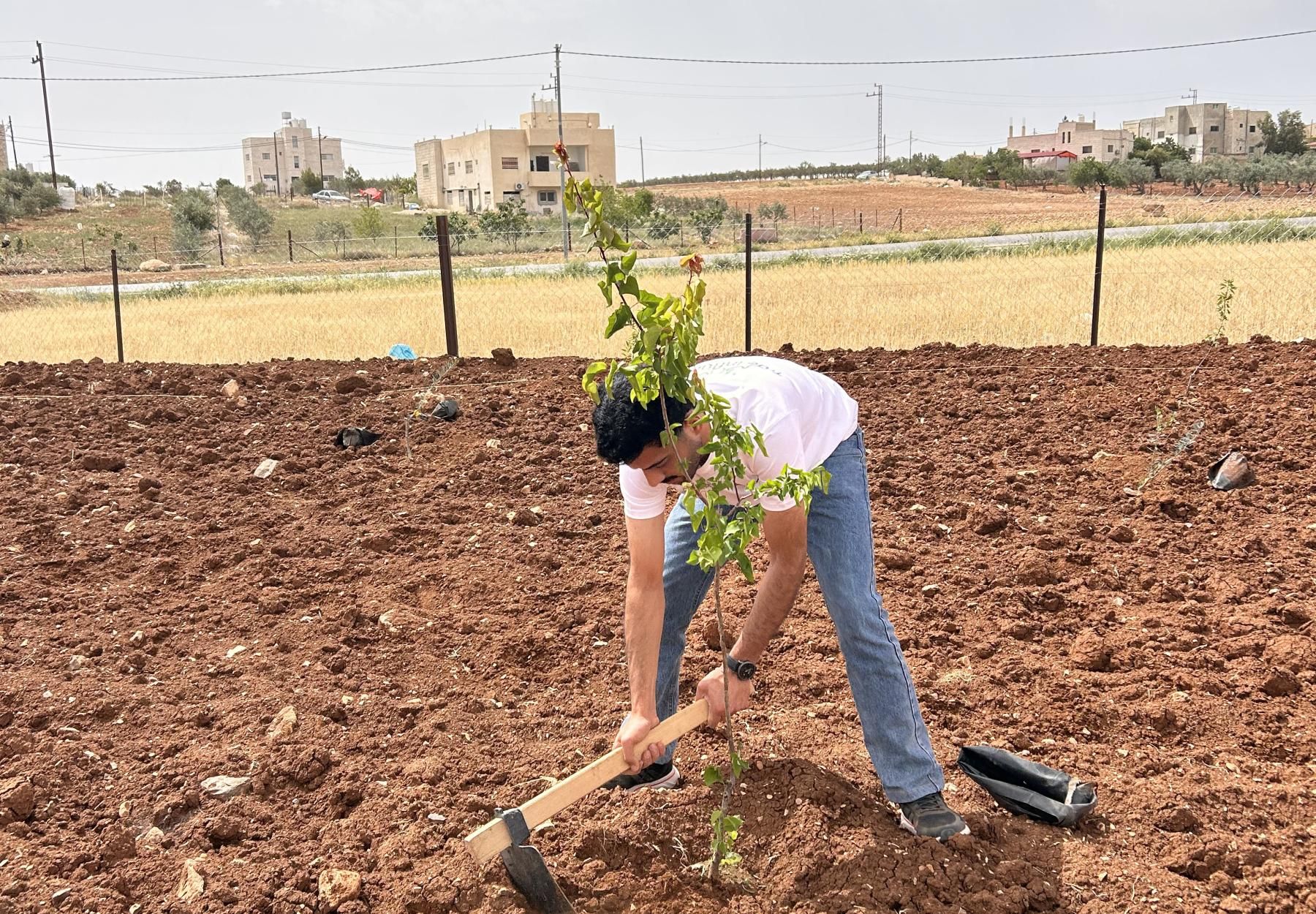 البنك الاردني الكويتي العربية لحماية الطبيعة