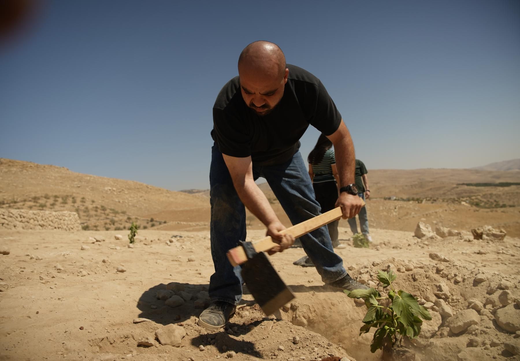 العربية لحماية الطبيعة 