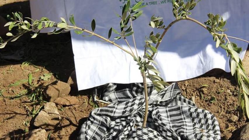 المليون شجرة يطلق حملة "الأرض لنا" لزراعة آلاف الأشجار في كافة محافظات فلسطين