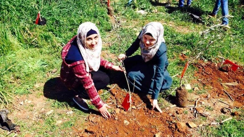 زراعة أشتال زيتون بأسماء الشهداء في القدس الشريف