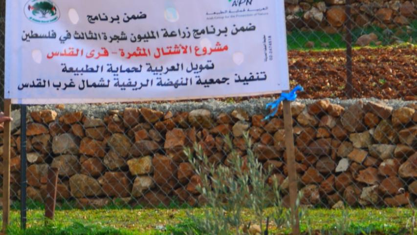 زراعة 4000 شتلة مثمرة في 8 قرى مقدسية
