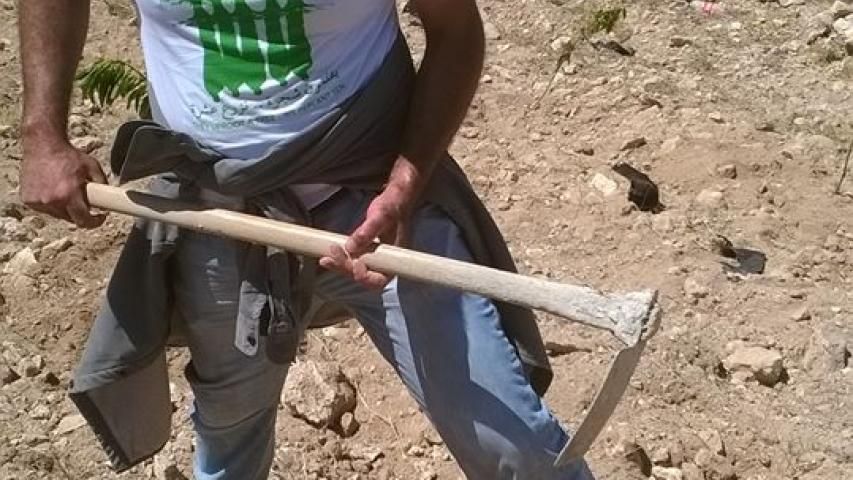 دعم الأمن الغذائي وصمود أحد عائلات قرية زعترة
