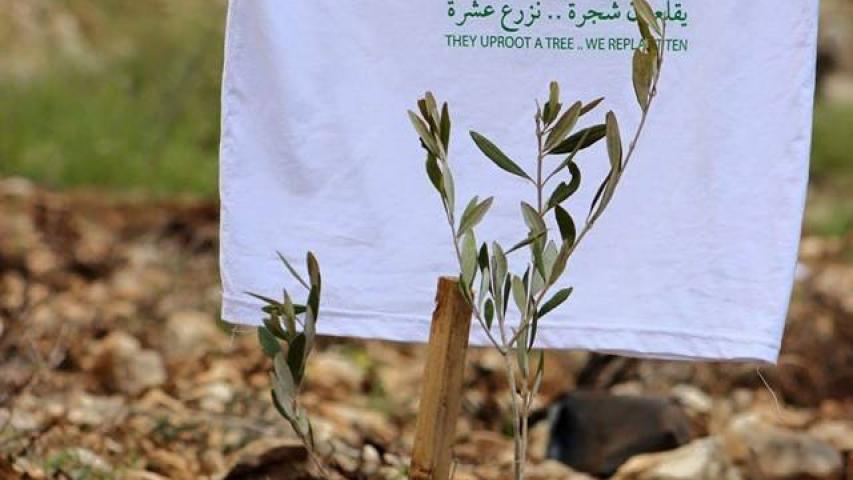 بلدة الشيوخ نحن معك!!