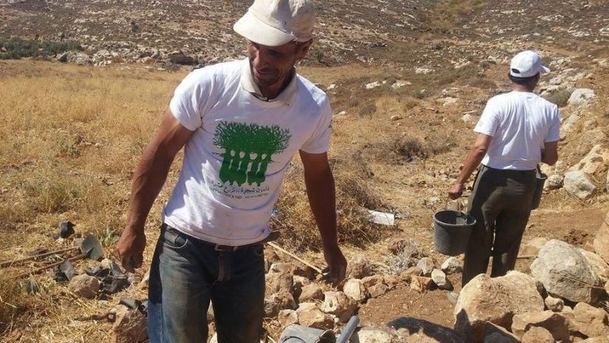 حملة المليون تزرع أرض الشيوخ في الخليل لحمايتها من المصادرة