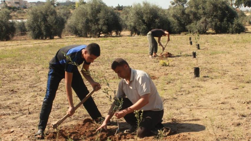 العربية تطلق مشروع "ازرع شجرة لك في غزة"