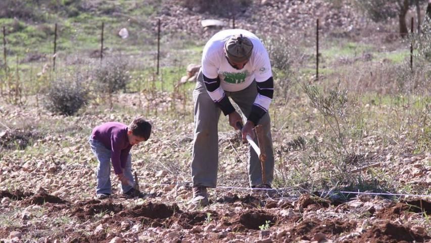 الاستمرار بمشاريع التمكين الإقتصادي لأسر الشهداء في فلسطين