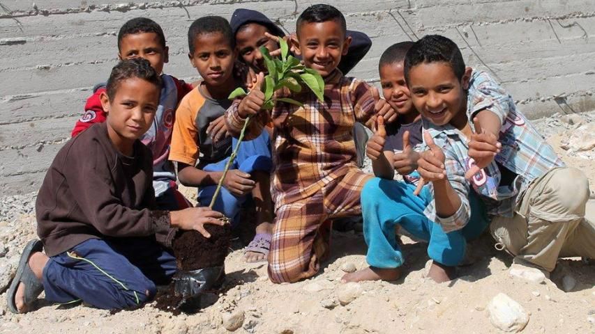 العربية لحماية الطبيعة وشركة المجموعة المتكاملة للتكنولوجيا يزرعان 780 شجرة مثمرة في وادي القطار وغور الحديثة في الأردن