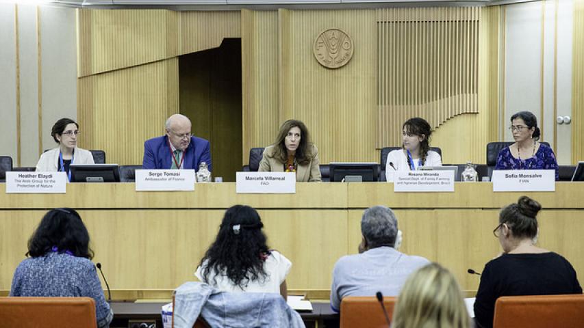 العربية تمثل المجتمع المدني  في الجلسة الثالثة و الاربعين للجنة الأمن الغذائي العالمي في روما