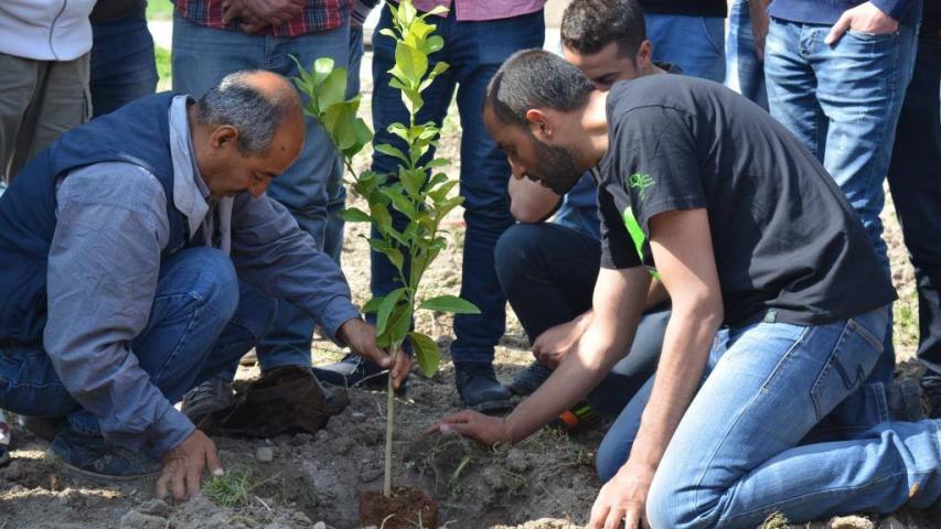 القافلة الخضراء تزرع على ضفاف نهر الاردن مع نقابة المهندسين الاردنيين