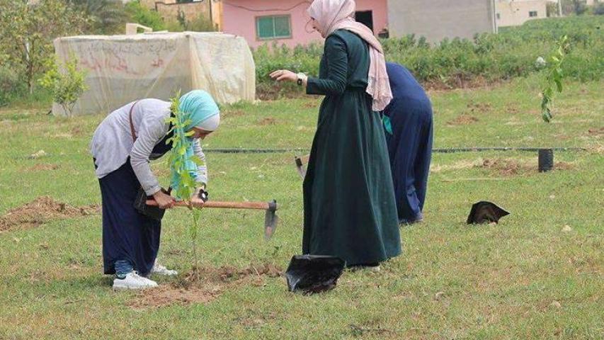 العربية تزرع الأشجارالمثمرة  في منطقة ضرار بن الازور