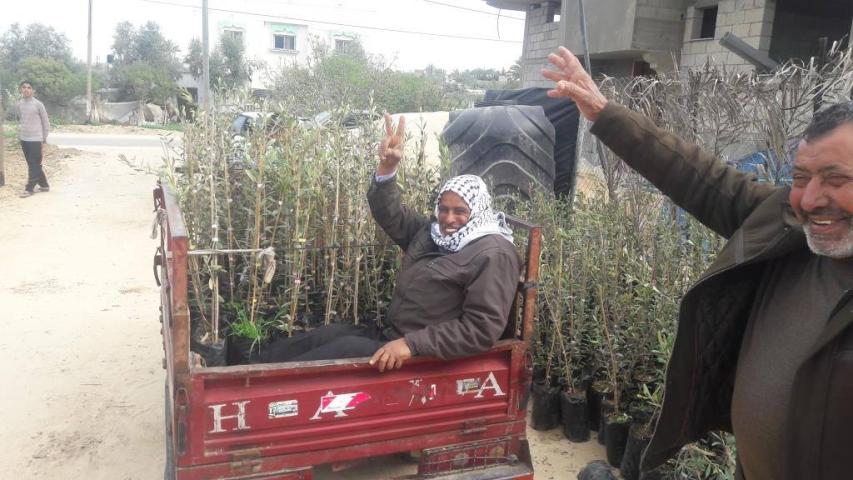 المليون شجرة يزرع آلاف الأشجار في قطاع غزة  دعما لصمود المزارعين