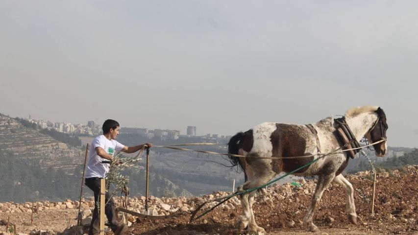 العربية تضع يدها بيد المزارع المقدسي وتحلق بمشاريع مبتكرة عديدة