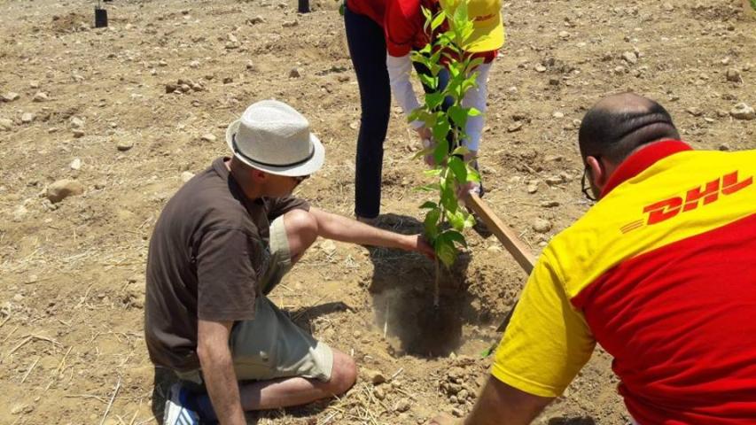 العربية لحماية الطبيعة وشركة DHL يدعمان الأمن الغذائي في الأغوار‎.