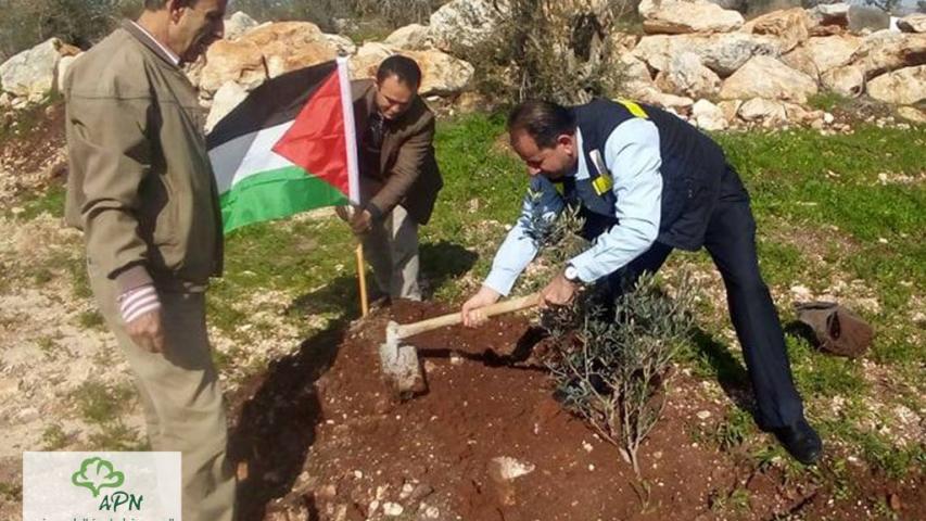 انجازات كبيرة ضمن مشروع "الأيادي الخضراء" في فلسطين