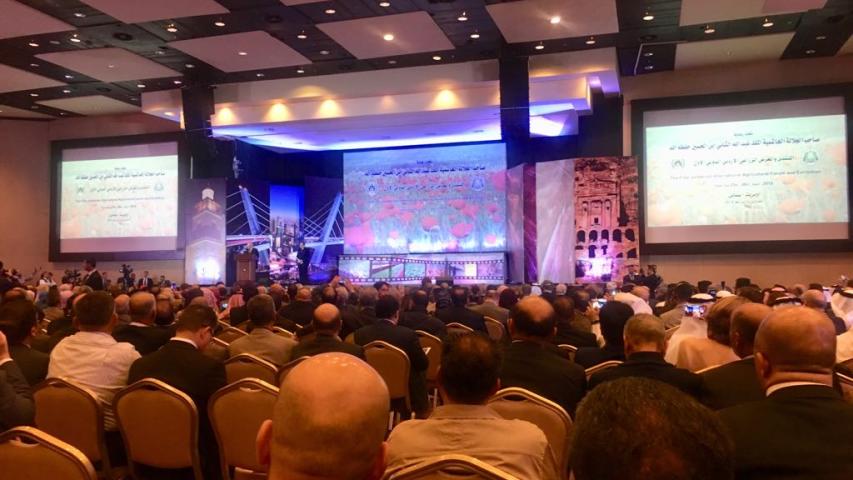 العربية تنشط في منابر محلية ودولية