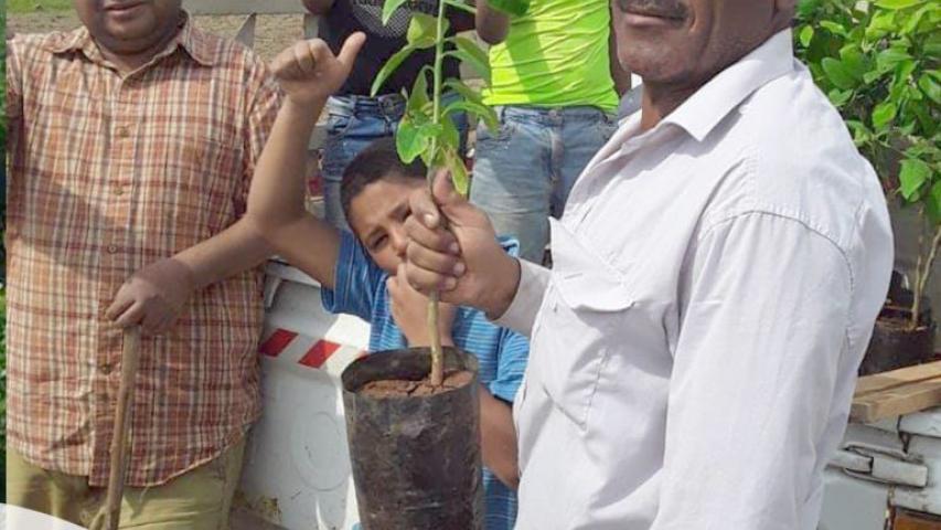 زراعة الأشجار تكريماً لشهداء معركة الكرامة