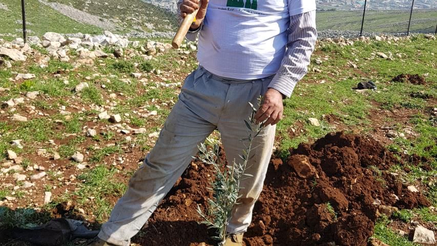 إنجازات كبيرة ضمن مشروع "جذور" في فلسطين.. تعرف عليها