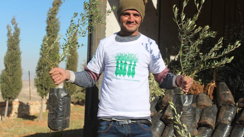 ضمن مشروع "أشجار الحياة".. تعزيز صمود 284 مزارعاً فلسطينياً