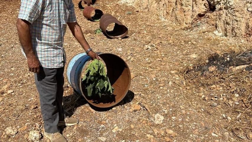 في صبيحة العيد، توجه المزارع "أبو ابراهيم" طلال جبارة من ترمسعيا- رام الله، إلى أرضه ليجد أكثر من ٢٠٠ غرسة زيتون استهدفها المستعمرون من مستعمرة شيلو القريبة. لم يكتفوا بمجزرة الأشجار بل أتلفوا خزانات المياه.