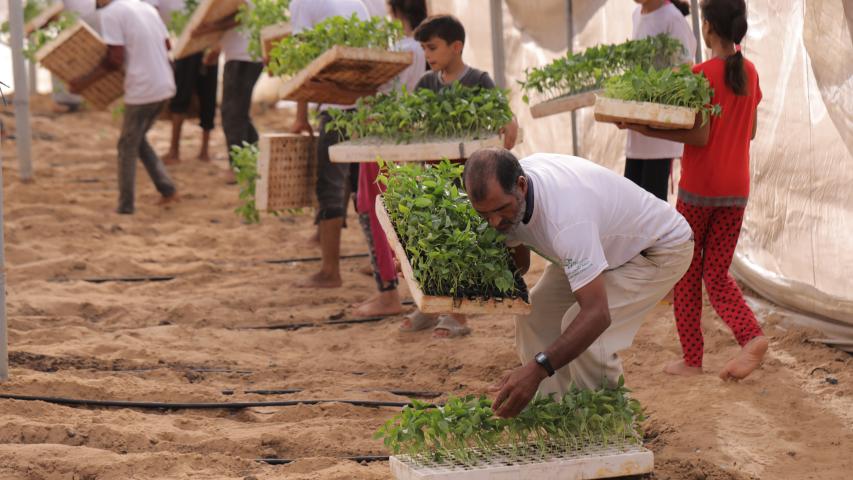 العربية لحماية الطبيعة
