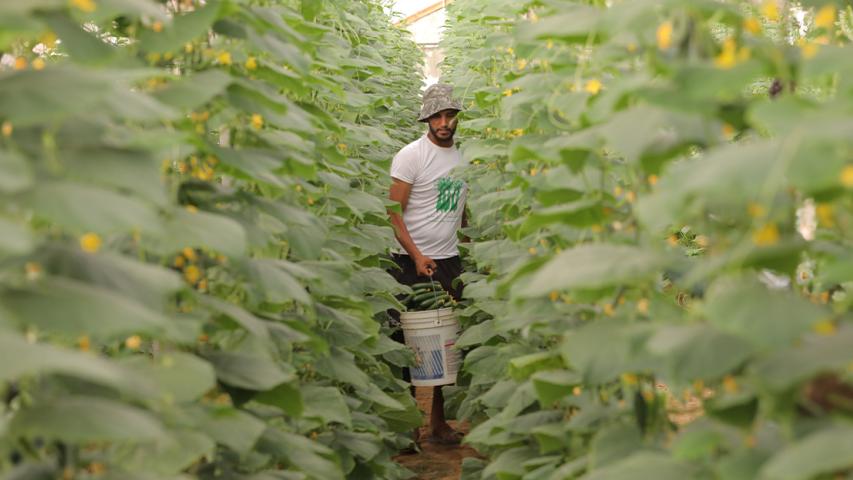 العربية لحماية الطبيعة