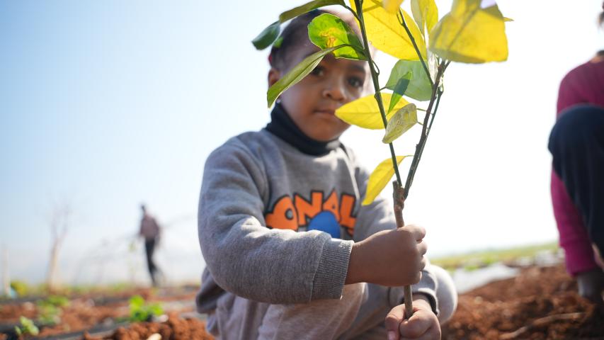 العربية لحماية الطبيعة