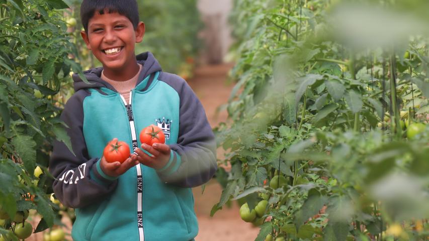 العربية لحماية الطبيعة