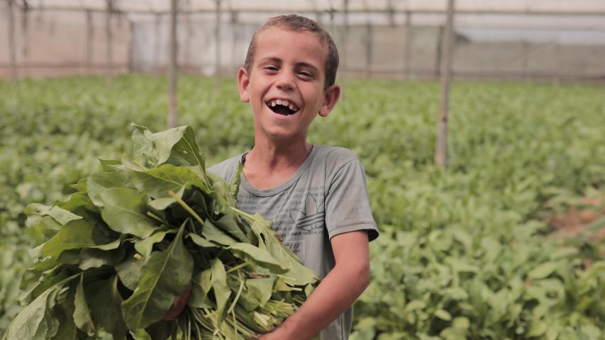 العربية لحماية الطبيعة